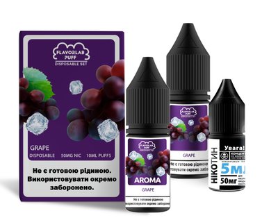 Набір для самозамісу Flavorlab Disposable Puff 10ml 50mg зі смаком винограду 472683 фото