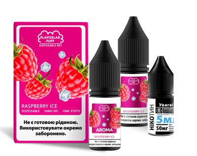 Набір для самозамісу Flavorlab Disposable Puff 10ml 50mg зі смаком малини з льодом 472677 фото